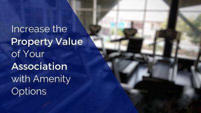 Several treadmills in front of a window